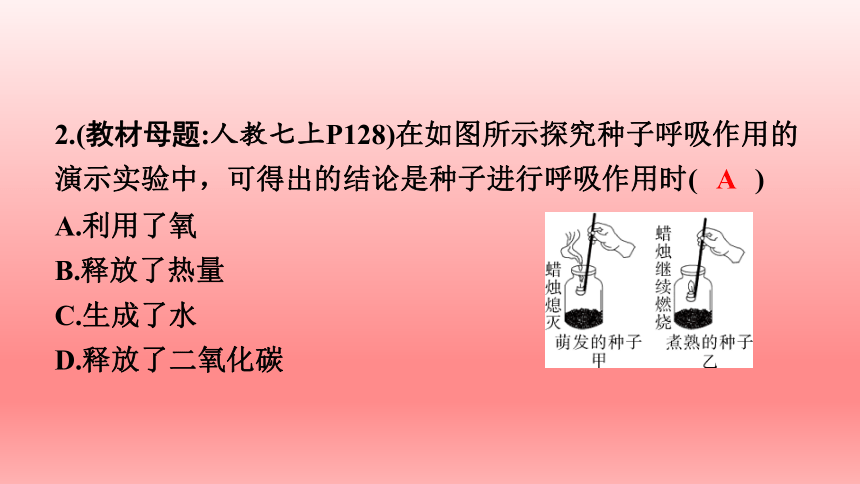 2023年中考生物复习专题课件1(共51张PPT)★绿色植物与生物圈中的碳—氧平衡　爱护植被，绿化祖国