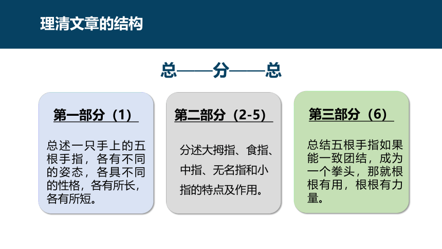 第22课《手指》第一课时（教学课件）