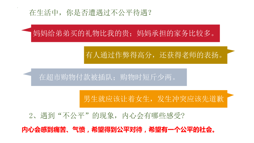 8.2 公平正义的守护 课件(共18张PPT)-2023-2024学年统编版道德与法治八年级下册