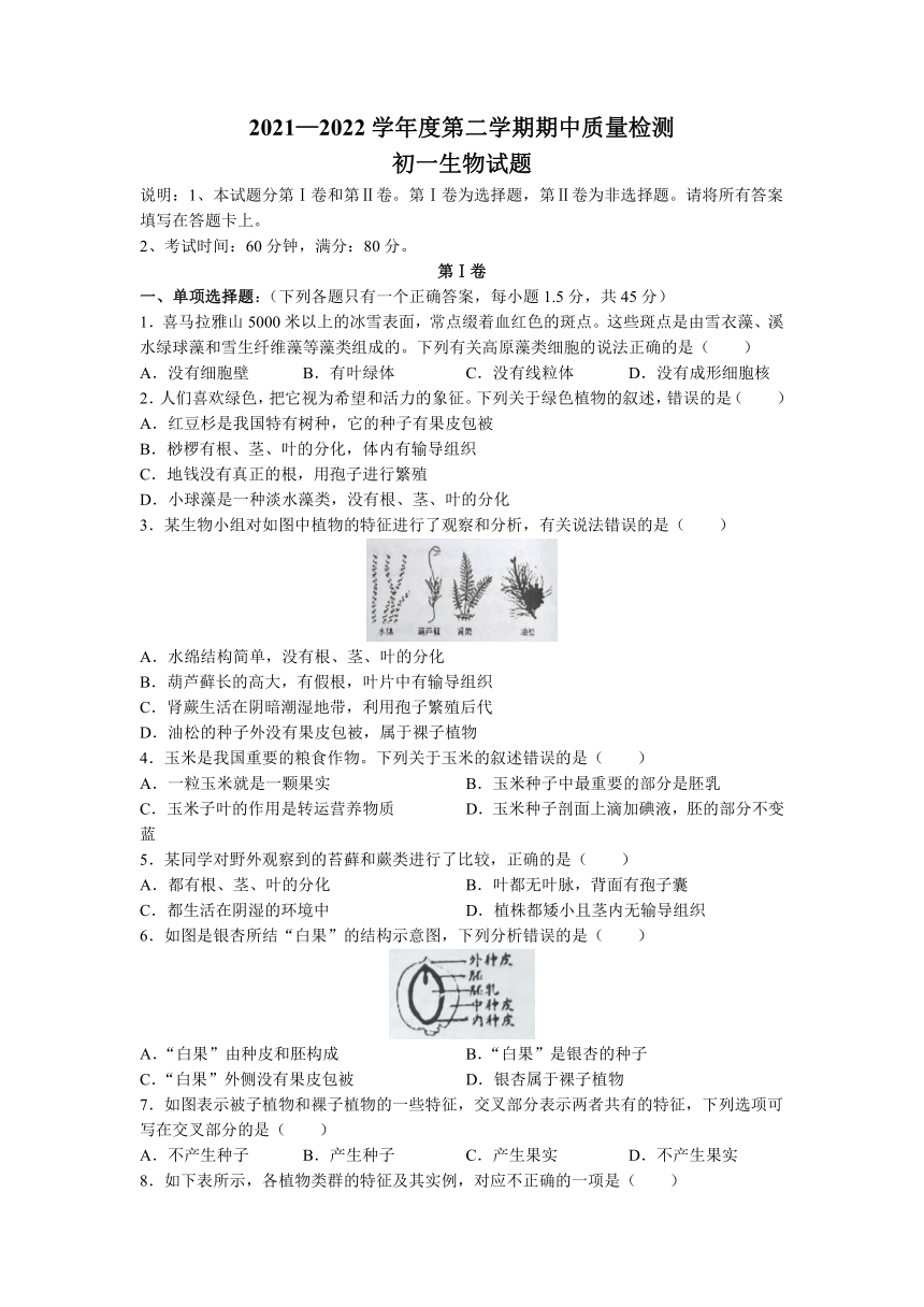 山东省青岛市莱西市2021-2022学年六年级下学期期中生物试题（含答案）