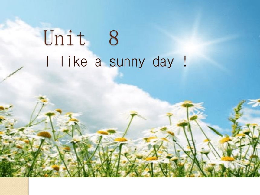 Unit8 I like a sunny day课件（14张PPT）