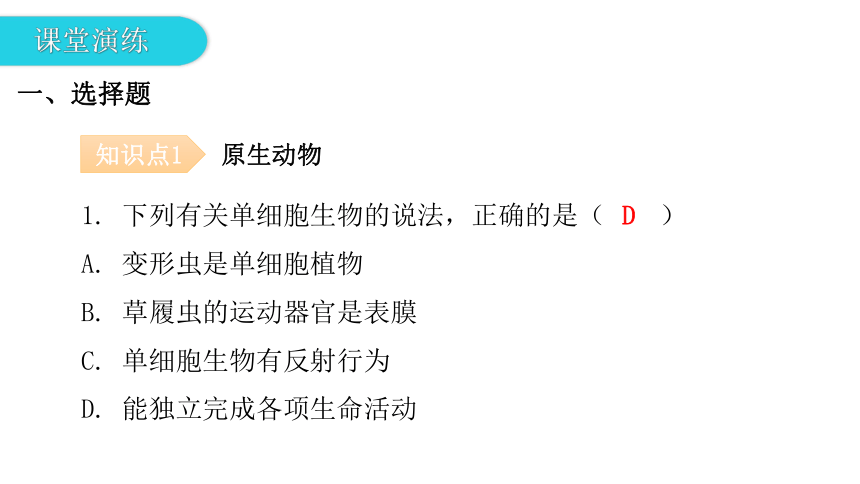 2020-2021学年八年级生物下册（北师大版）22.2  原生生物的主要类群 课件（24张PPT）