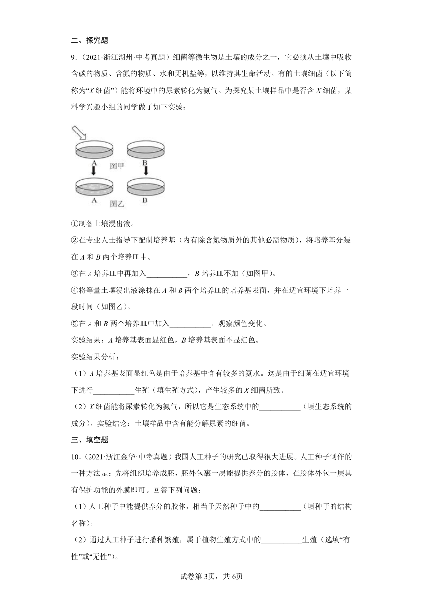 09细菌和真菌的繁殖、植物的生殖与发育-浙江省各地区2020-2022中考科学真题汇编（含解析）