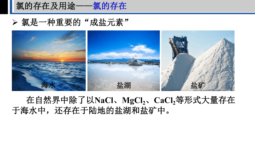 2.2.1氯的重要化合物（课件）(共31张PPT)高一化学人教版必修一
