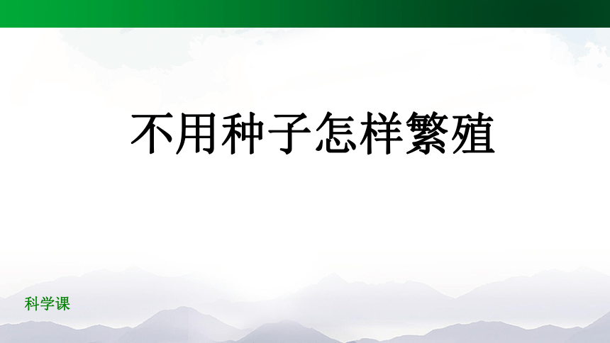 2.5 不用种子怎样繁殖 课件(39张ppt)