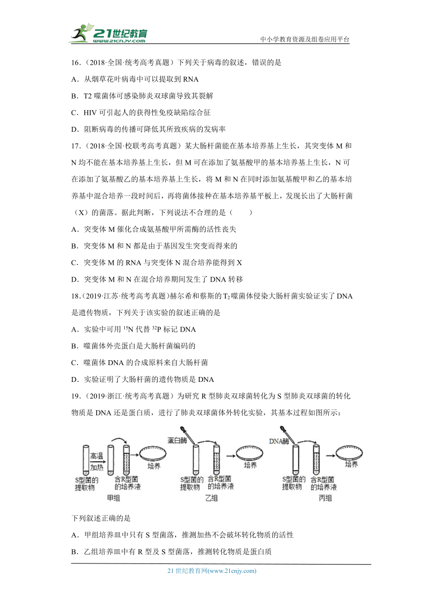 五年2018-2022高考生物真题按知识点分类汇编38-遗传的分子基础-人类探索遗传物质的历程（含解析）