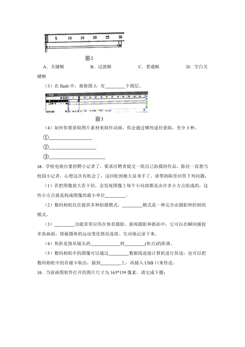 2023年中考信息技术一轮基础复习卷13（Word版，含答案）--文本与图片