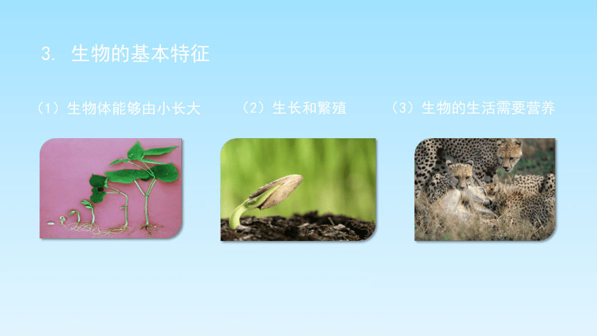 人教版七年级生物上册《第一章认识生物》章末复习课件(共15张PPT)