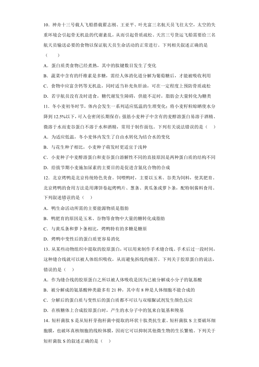 2022-2023学年高一上学期生物人教版（2019）必修1-2.4蛋白质是生命活动的主要承担者同步练习（含答案）