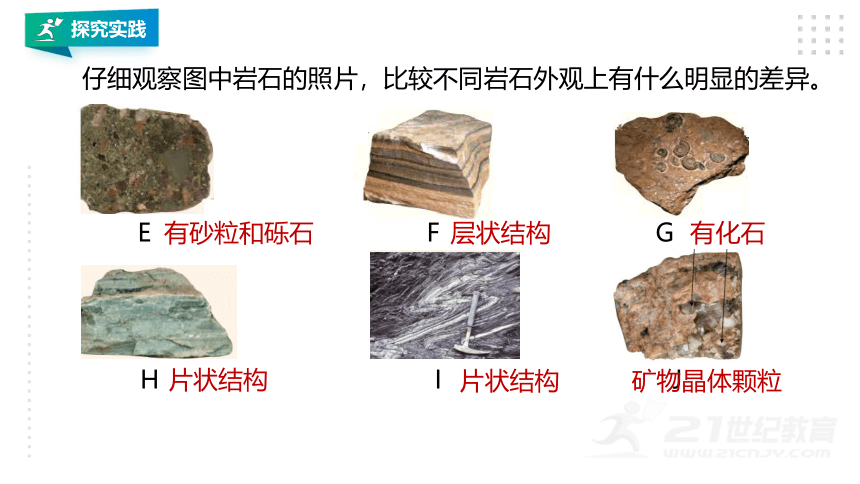 第3节 组成地壳的岩石(课件 29张PPT)