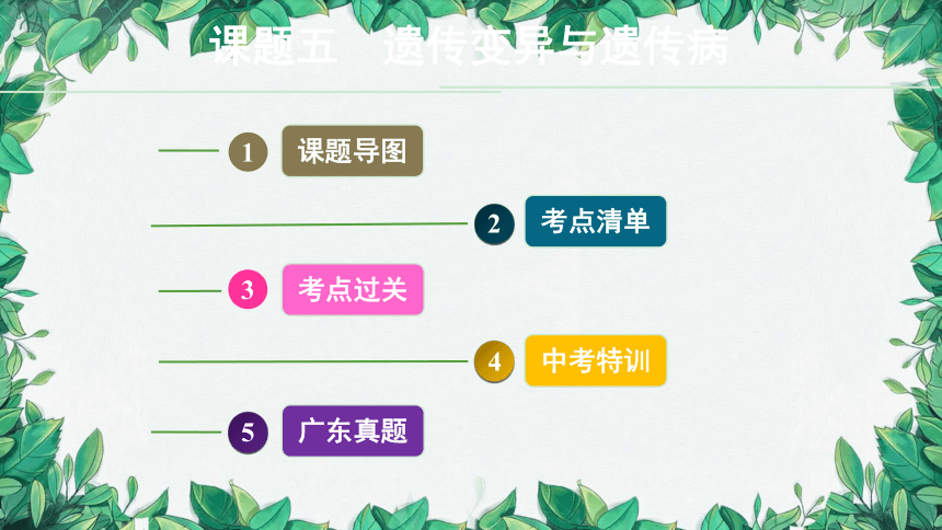 2023年中考生物复习 课题五 遗传变异与遗传病课件(共31张PPT)