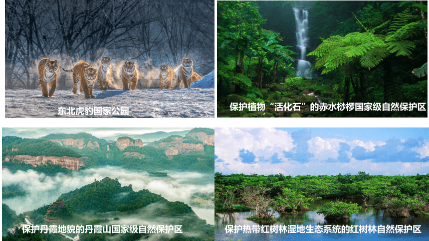 高中地理湘教版（2019）选择性必修三3.2自然保护区与生态安全（共23张ppt）