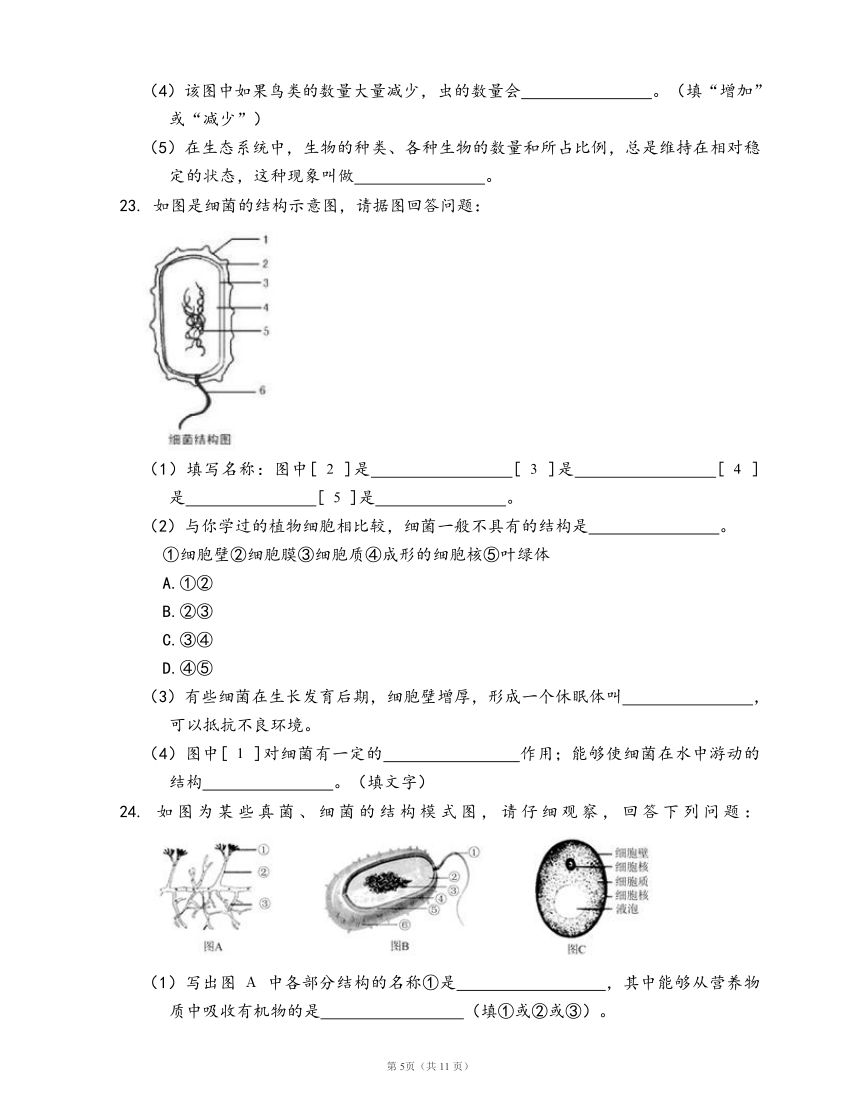 人教版八年级生物上册单元检测卷第五单元第四章 细菌和真菌（word版，含部分答案解析）