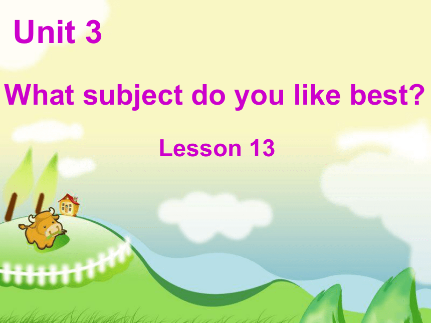 Unit3 What subject do you like best？(Lesson13) 课件(共11张PPT)