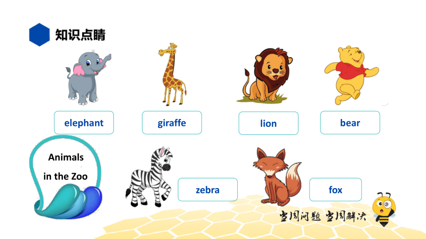 英语四年级【知识精讲】2.单词、词组(2)单词词组——动物（12张PPT）