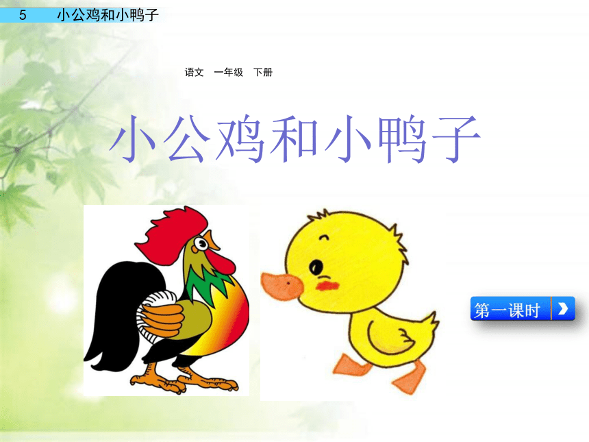 4 小公鸡和小鸭子 课件(共41张PPT)