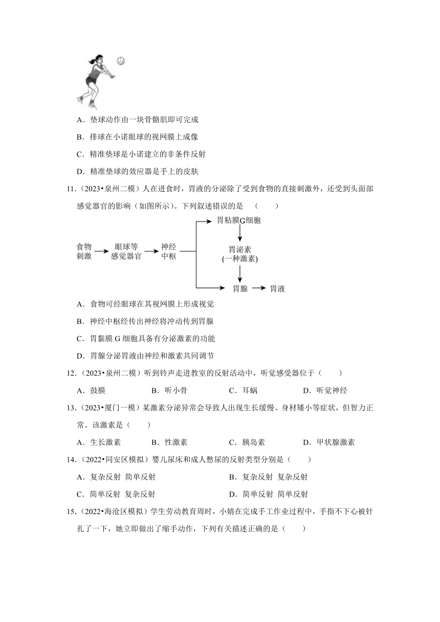 中考专题训练——6人体的神经与泌尿系统——2023年福建省中考生物（含解析）