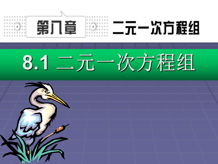 人教版七年级数学下册  第八章二元一次方程组 8.1二元一次方程组  课件  (共48张PPT)