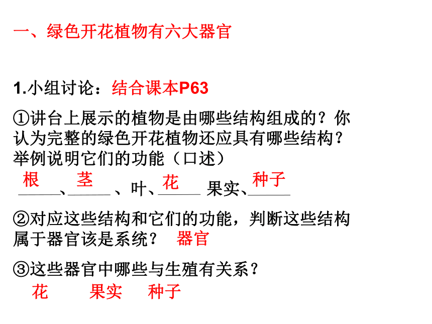 2021—2022学年人教版生物七年级上册2.2.3植物体的结构层次课件(共25张PPT)