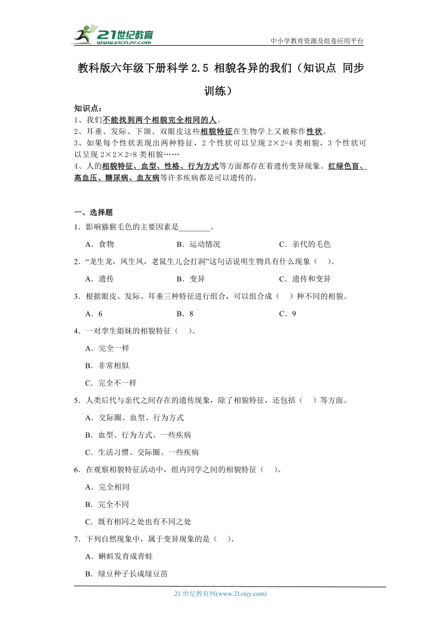 教科版六年级下册科学2.5相貌各异的我们（知识点+同步训练）