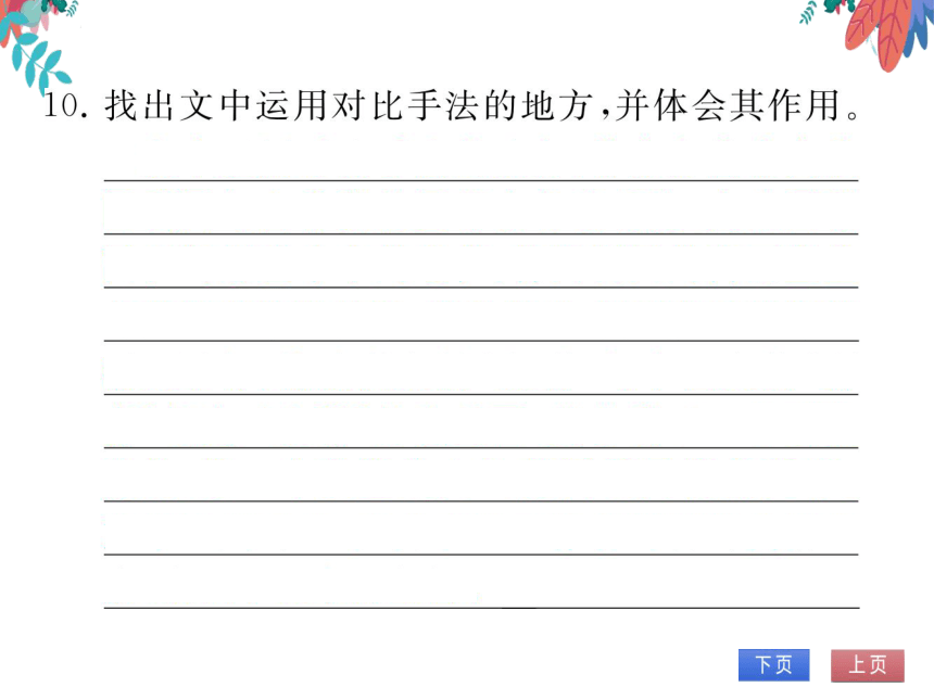 【部编版】语文九年级上册 第二单元 8.就英法联军远征中国致巴特勒上尉的信 习题课件