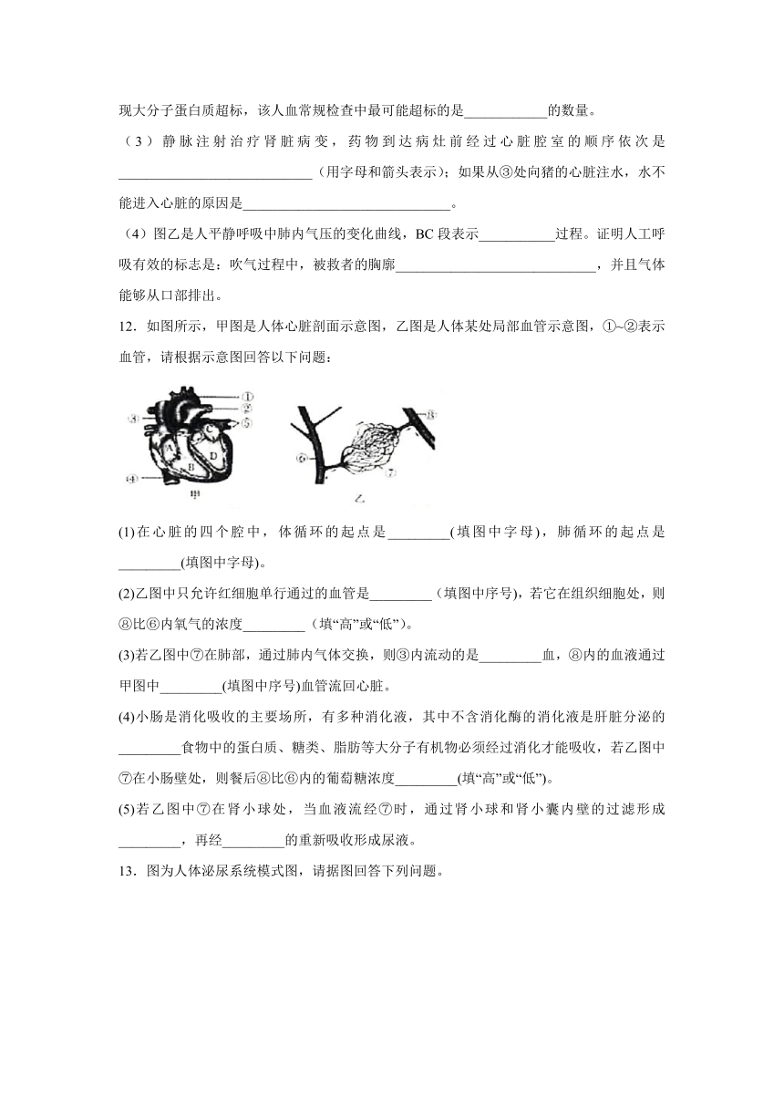 【会考专训】中考生物会考复习专项训练17：人体内废物的排出（含解析）