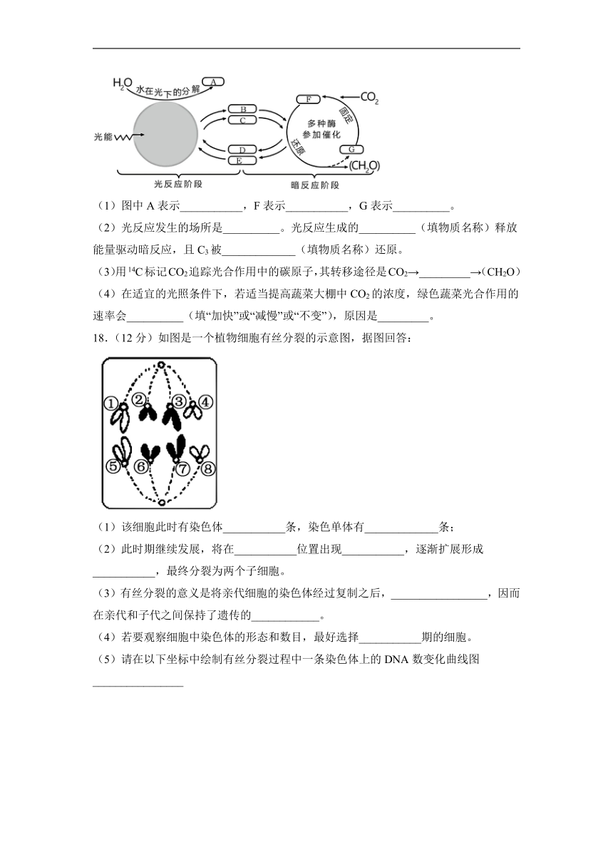 四川省宜宾市部分中学2022-2023学年高一下学期开学考试生物学试题（Word版含答案）