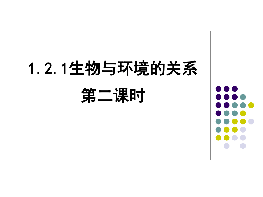 1.2.1生物与环境的关系（第2课时）课件(共15张PPT)2022--2023学年人教版七年级上册生物