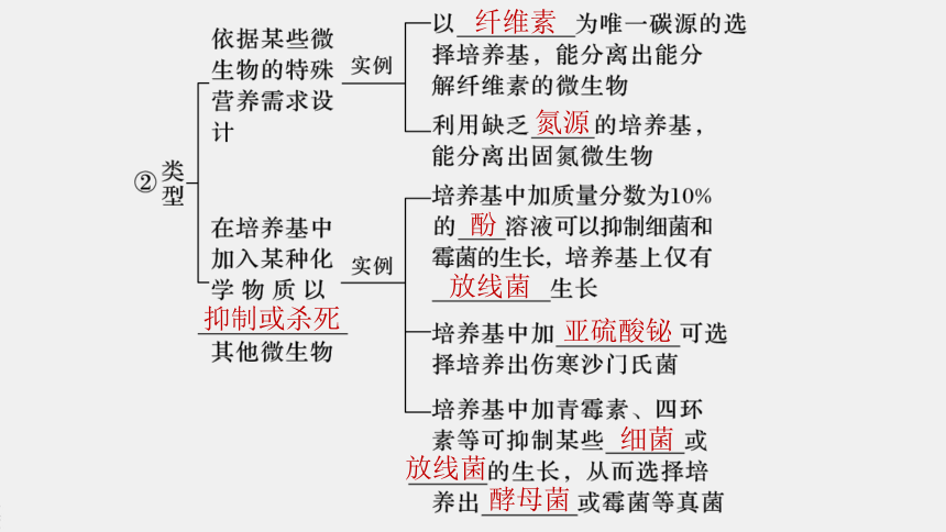 高中生物苏教版（2019）选择性必修3 生物技术与工程 第一章 第一节　发酵工程的培养基（65张PPT）