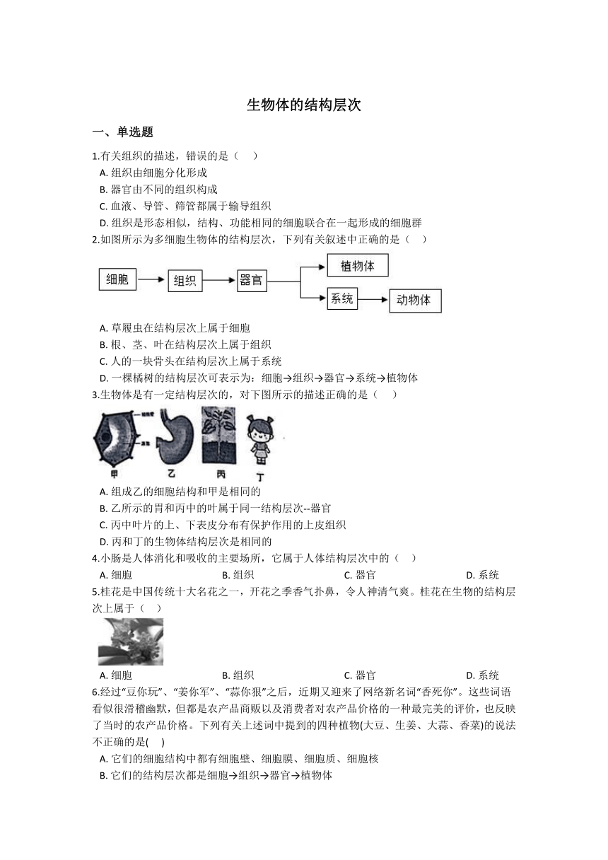 2.3生物体的结构层次 同步练习（含解析）