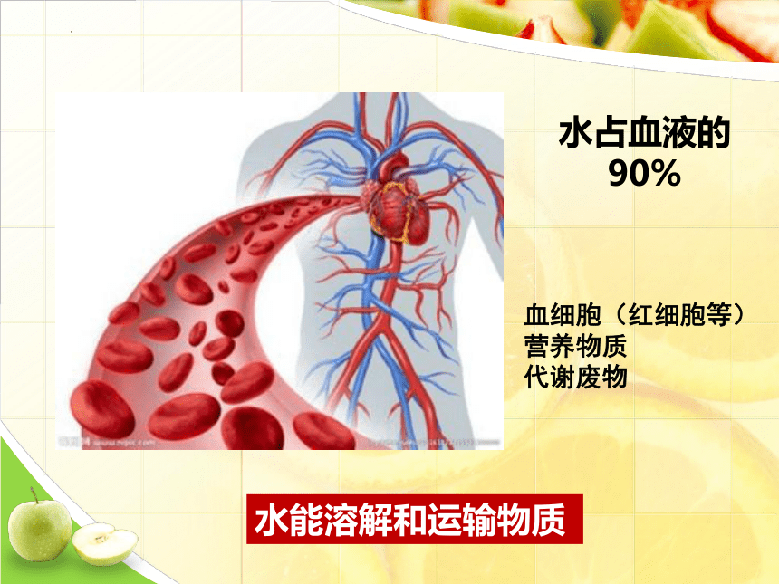 3.5.2  营养物质的作用  课件(共36张PPT)2022-2023学年苏科版生物七年级上册