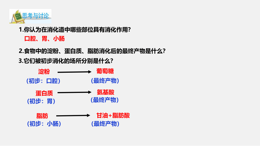 4.2 食物的消化与吸收 第2课时 (课件 45张PPT）