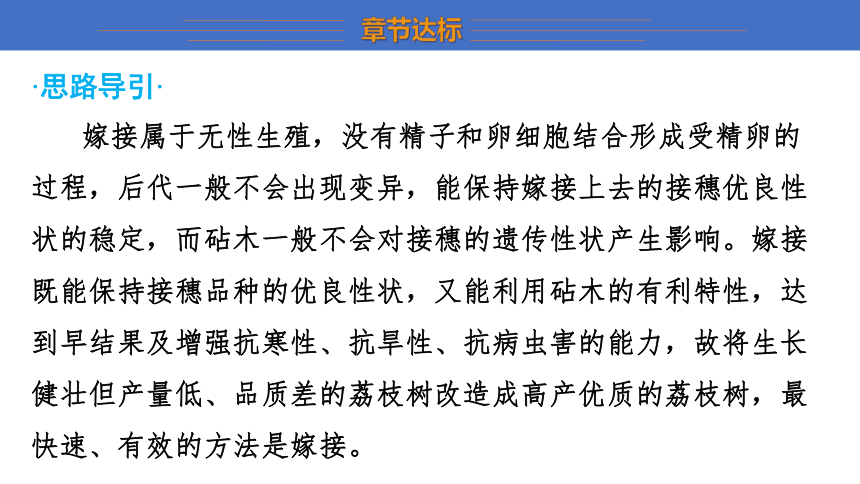 第七单元 生物圈中生命的延续和发展 复习课件(共34张PPT) 2023-2024学年 初中生物人教版八年级下册