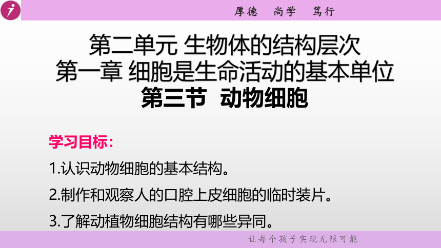 人教版七年级生物上册  第二单元第一章第三节 动物细胞 教学课件（39张PPT）