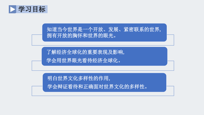 1.1 开放互动的世界 课件（33张PPT+内嵌视频）