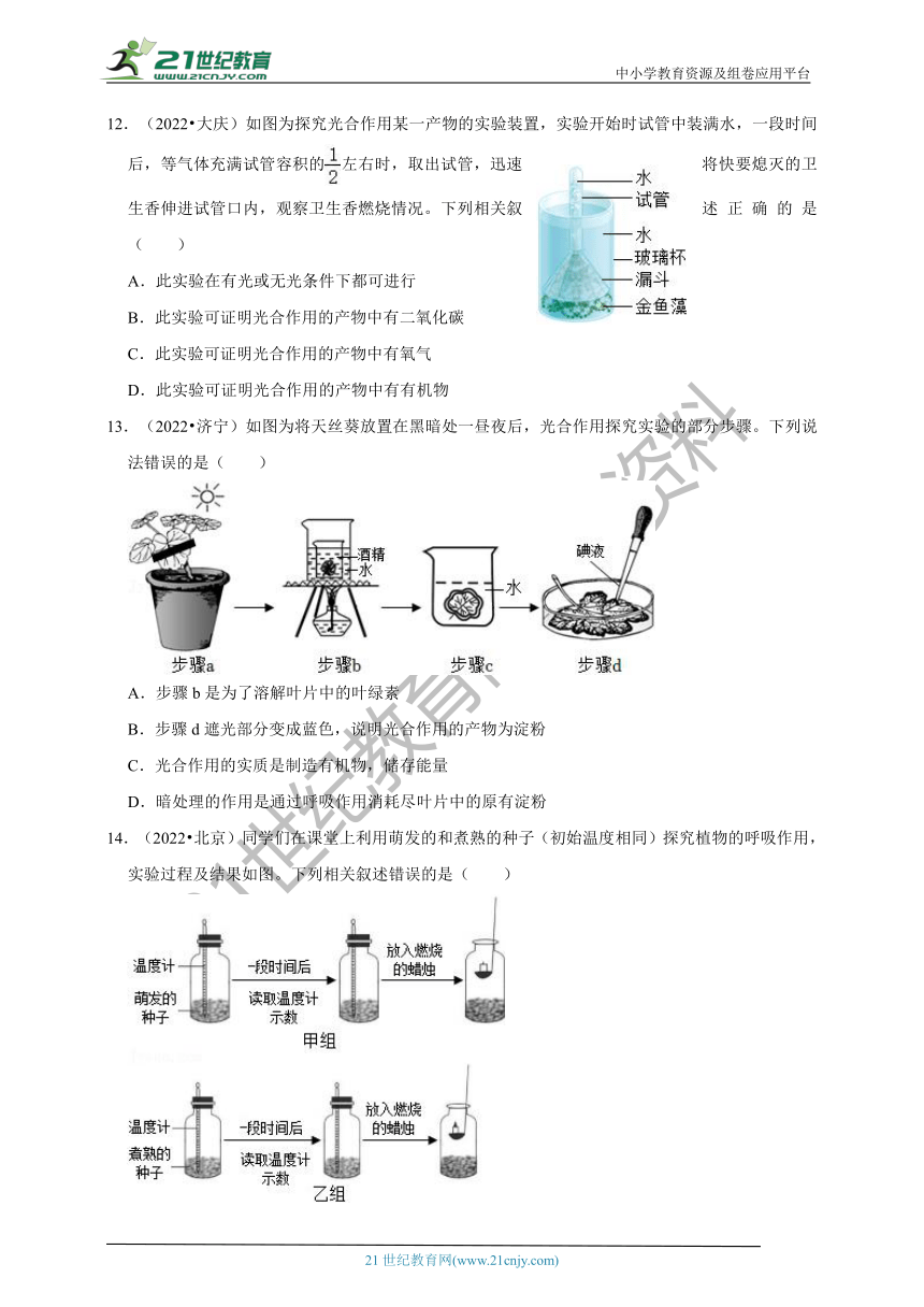 【备考2023】2022年中考生物真题分类汇编21——科学探究实验(植物类)部分（含解析）