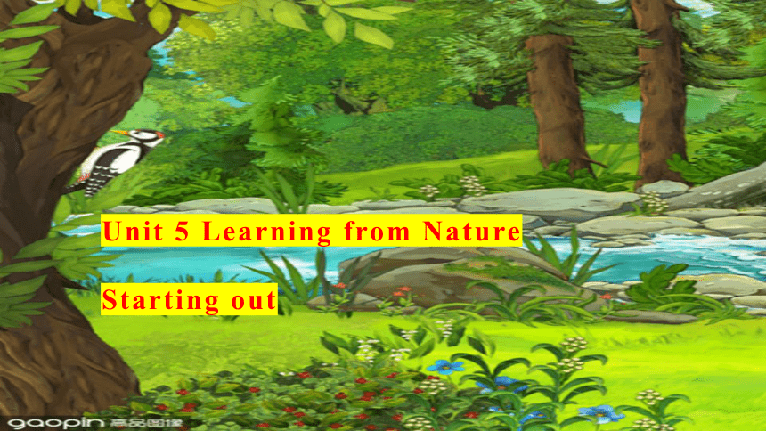 外研版（2019）选择性必修第三册Unit 5 Learning from Nature Starting out 课件（22张）
