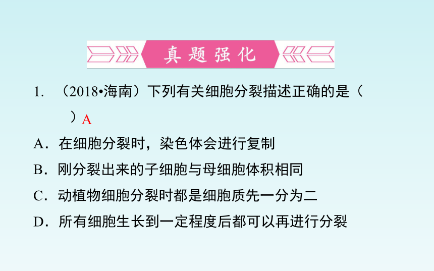 人教版七年级生物上册第二单元_第二章 细胞怎样构成生物体 复习课件（共27张PPT）