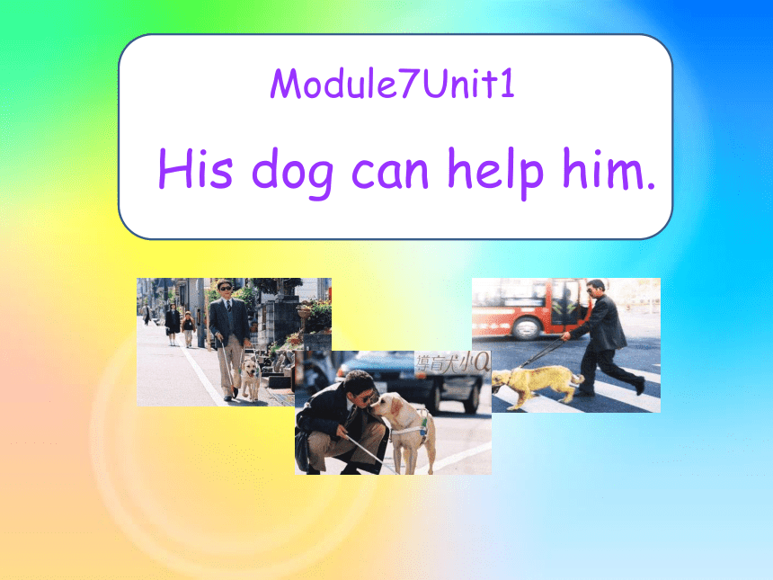 Module 7 Unit 1 His dog can help him. 课件(共26张PPT)