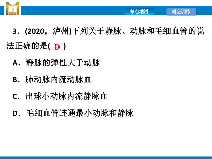 2021年浙江省中考科学复习课件第9讲　人体的物质和能量转换(2)（课件 52张PPT)