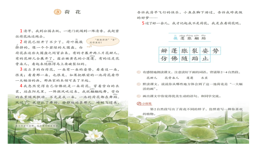 3《荷花》课件(共19张PPT)