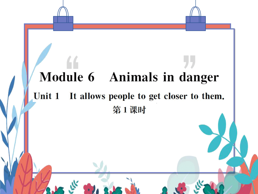 【外研版】八上 Module6 Unit1 It allows people to get closer to them 第1课时 习题课件