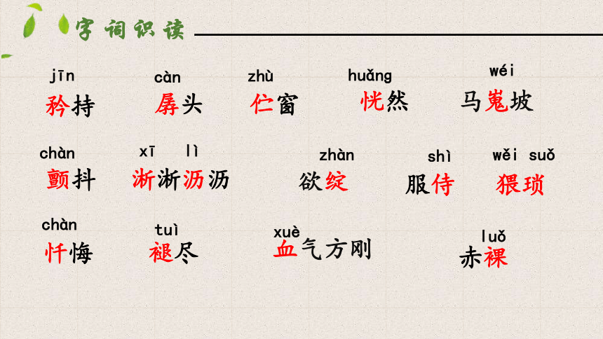 19  一棵小桃树  第一课时课件