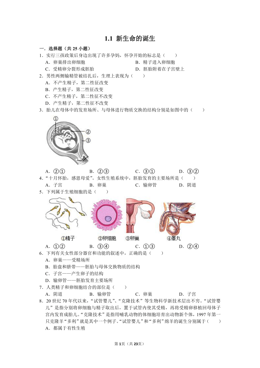 2022-2023学年浙教版科学七年级下册1.1新生命的诞生 同步练习（含解析）