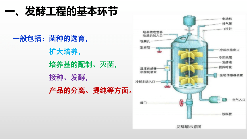 2020-2021学年人教版（2019）高二生物选择性必修三1.3 发酵工程及其应用 课件 （共32张ppt）