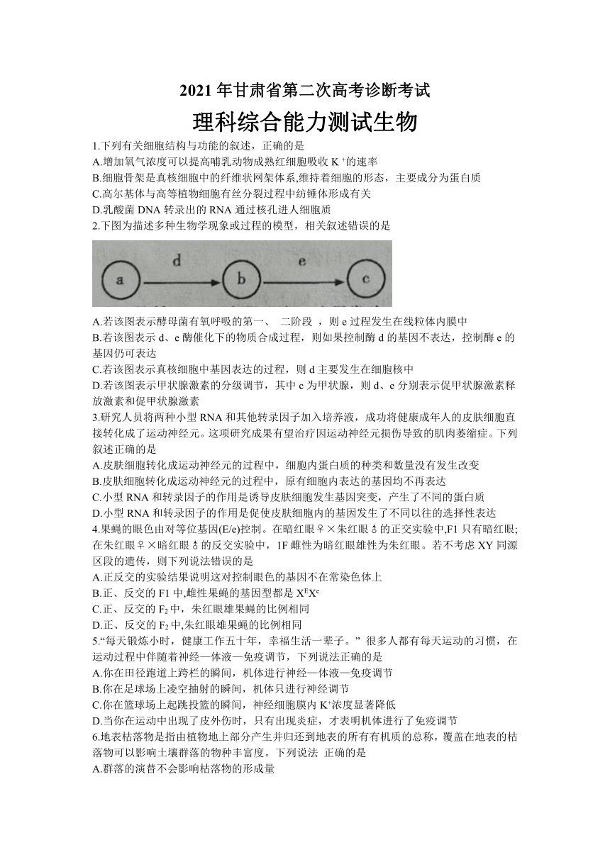 甘肃省2021届高三下学期4月第二次诊断考试理科综合生物试题 Word版含答案