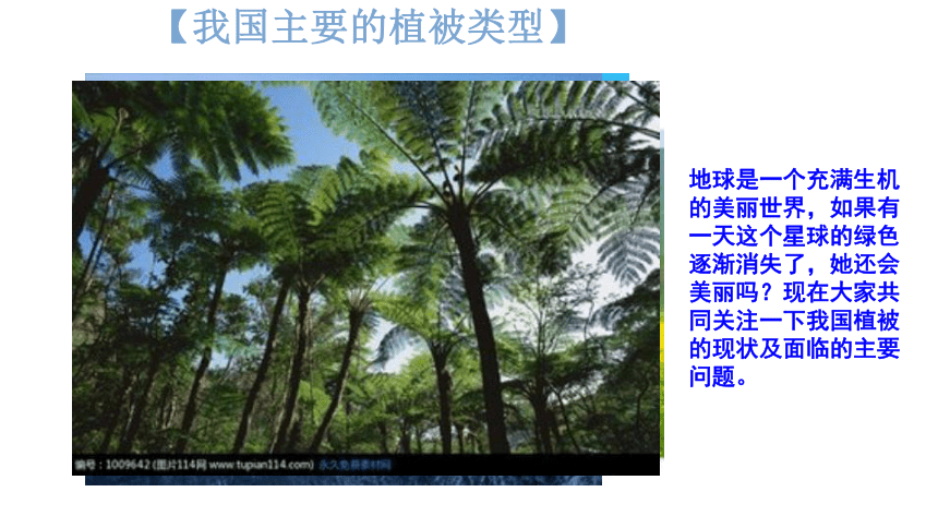 2022-2023学年人教版七年级生物上册 3.6 爱护植被，绿化祖国 课件  (共21张PPT)