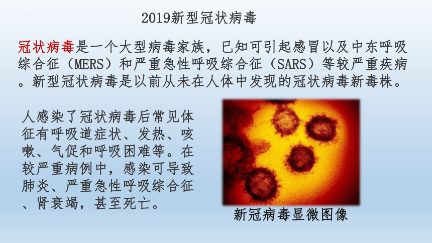 13.2 预防传染病课件(共15张PPT)2021--2022学年北师大版生物七年级下册