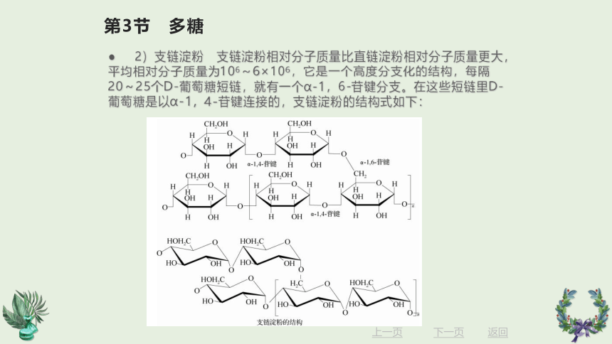 12.3 多糖 课件(共16张PPT)《有机化学》同步教学（北京理工出版社）