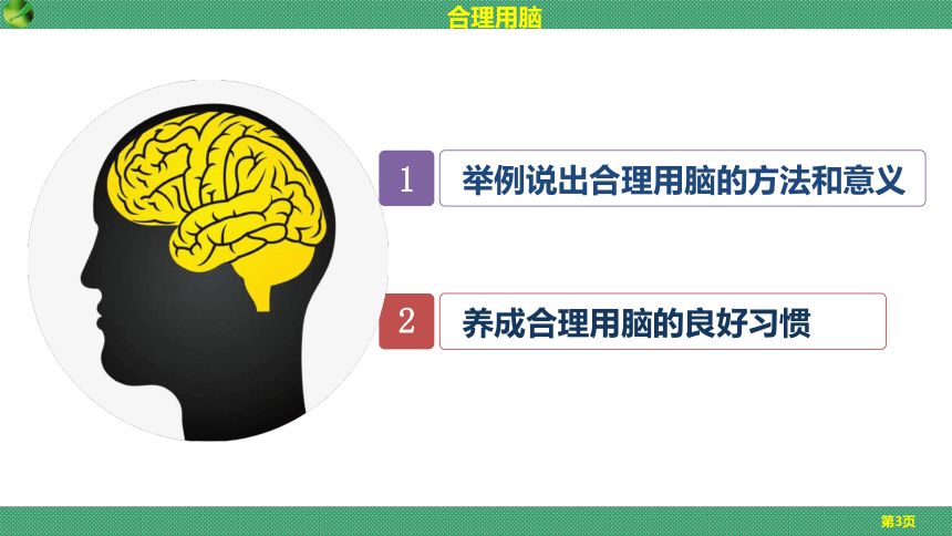 2.4.4 合理用脑（课件）七年级生物下册（冀教版）（共15张PPT）